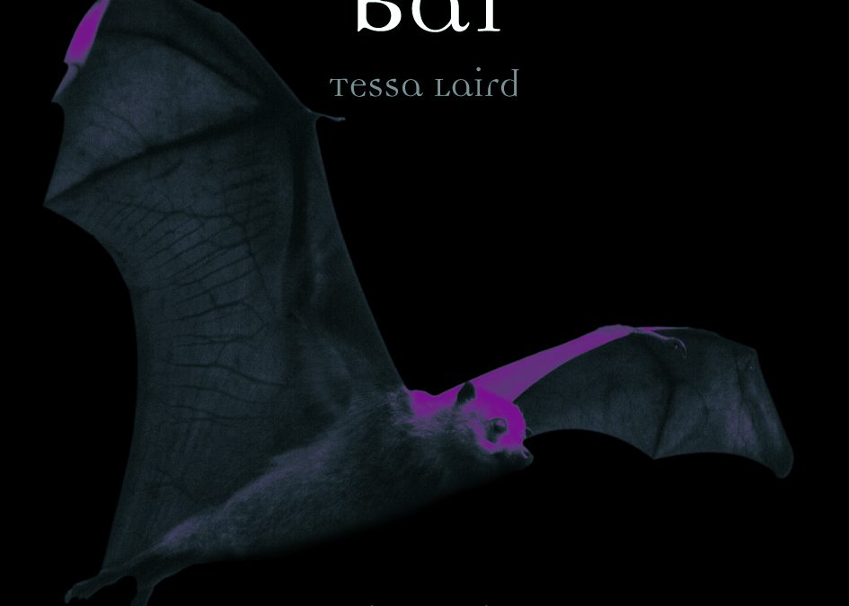 Tessa Laird Book launch
