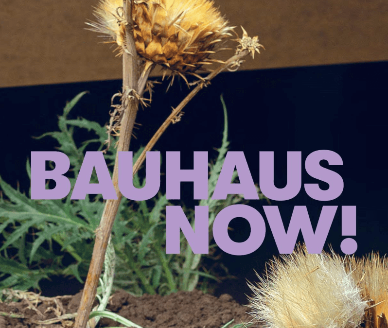 Bauhaus Now! – Exhibition Catalogue