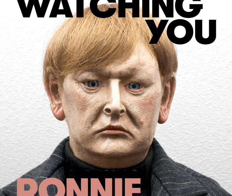 No one is watching you: Ronnie van Hout – Exhibition catalogue
