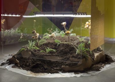 A mound of dirt with flowers growing under lights