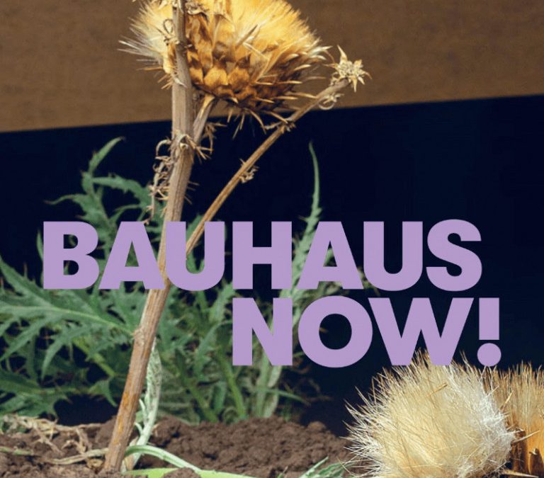Bauhaus Now!