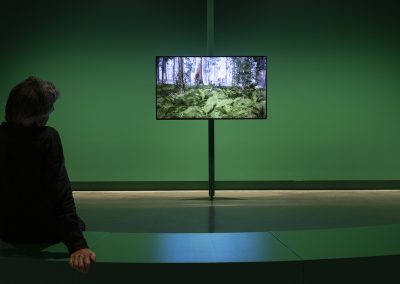 A man looks at a screen of a video of a rainforest