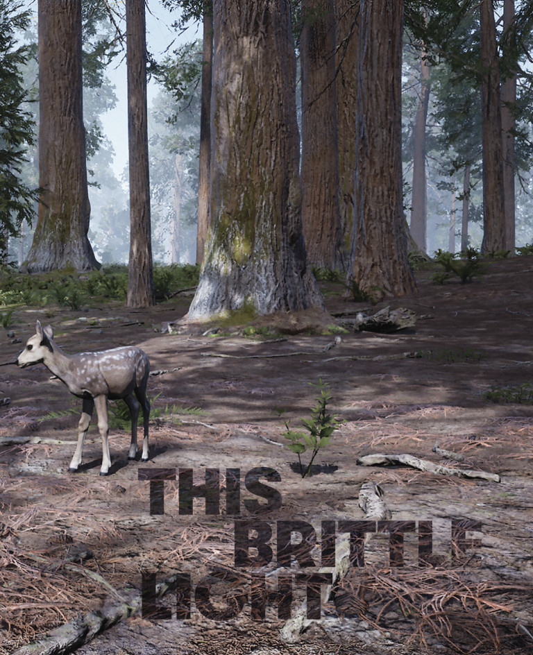 A fawn in a forest with text This Brittle Light