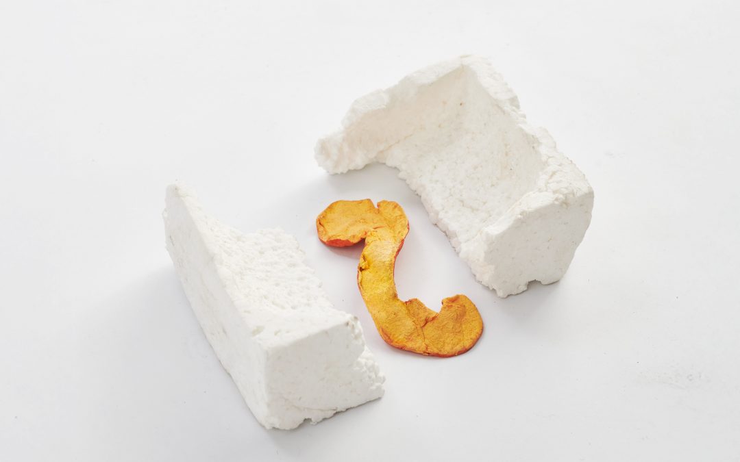 Group Exhibition Tours