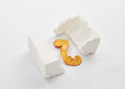 Group Exhibition Tours